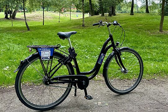 schwarzes Leihfahrrad steht vor einer grünen Wiese mit Birken