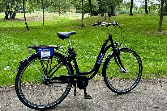 schwarzes Leihfahrrad steht vor grüner Wiese mit Birken