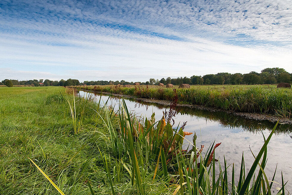 Naturschutzgebiet Kuhgrabensee - Blockland