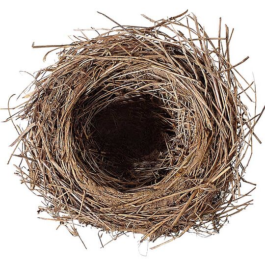 A brown nest